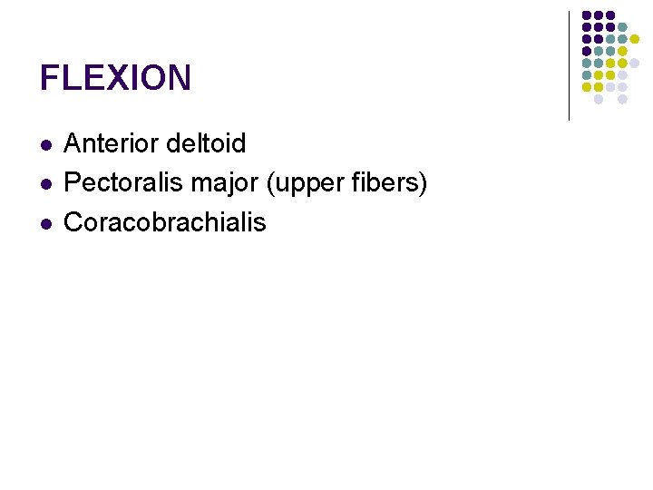 FLEXION l l l Anterior deltoid Pectoralis major (upper fibers) Coracobrachialis 