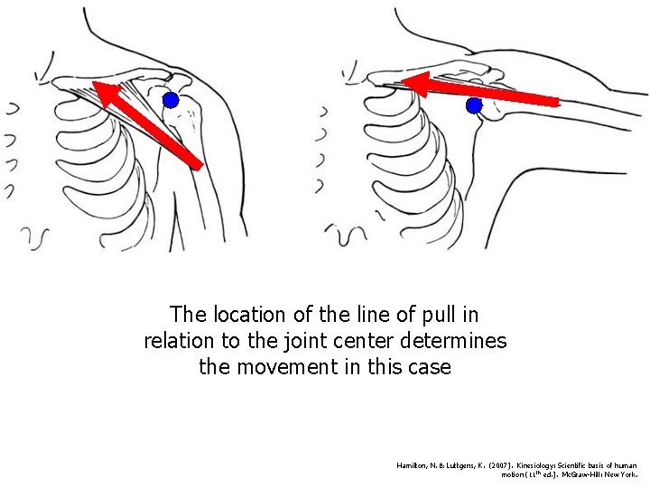 The location of the line of pull in relation to the joint center determines