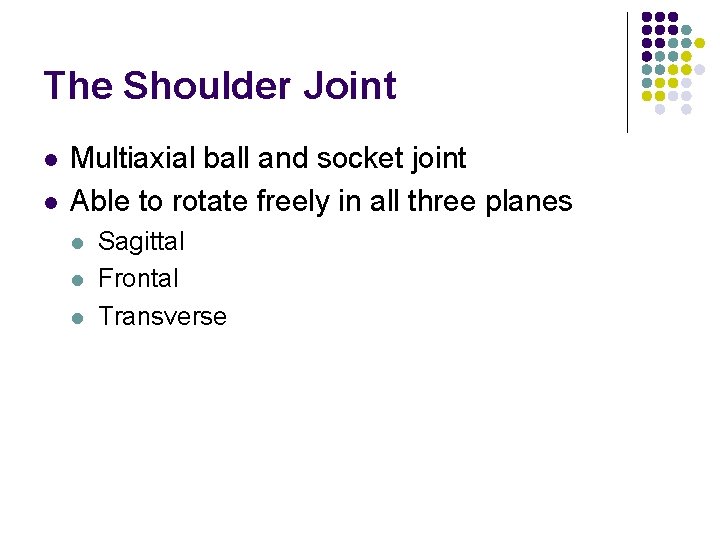 The Shoulder Joint l l Multiaxial ball and socket joint Able to rotate freely