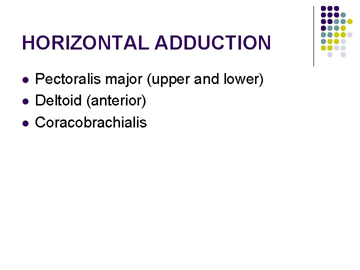 HORIZONTAL ADDUCTION l l l Pectoralis major (upper and lower) Deltoid (anterior) Coracobrachialis 