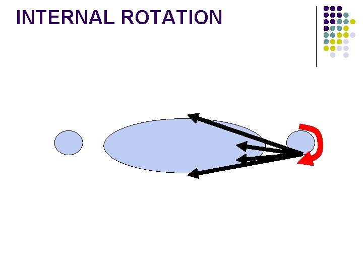 INTERNAL ROTATION 