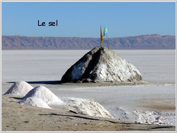 Le sel 