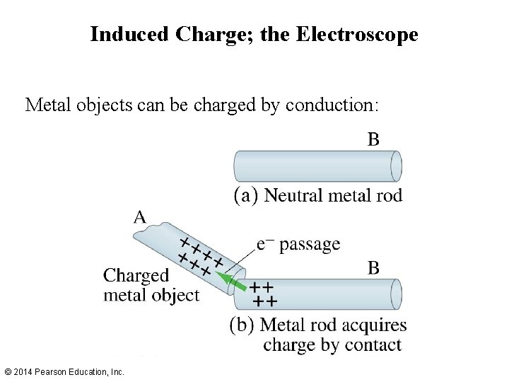 Induced Charge; the Electroscope Metal objects can be charged by conduction: © 2014 Pearson