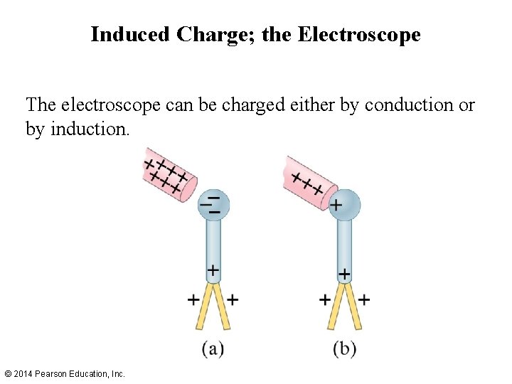 Induced Charge; the Electroscope The electroscope can be charged either by conduction or by