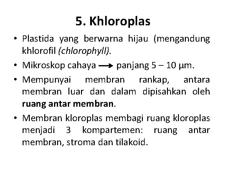 5. Khloroplas • Plastida yang berwarna hijau (mengandung khlorofil (chlorophyll). • Mikroskop cahaya panjang