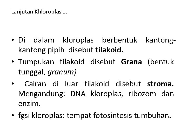 Lanjutan Khloroplas…. • Di dalam kloroplas berbentuk kantong pipih disebut tilakoid. • Tumpukan tilakoid