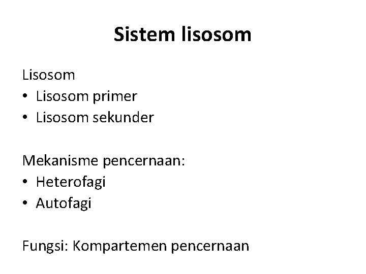 Sistem lisosom Lisosom • Lisosom primer • Lisosom sekunder Mekanisme pencernaan: • Heterofagi •