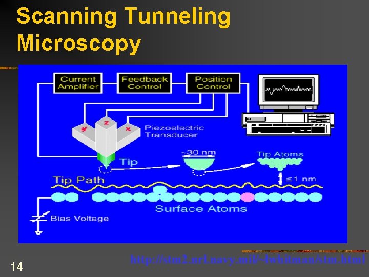 Scanning Tunneling Microscopy 14 http: //stm 2. nrl. navy. mil/~lwhitman/stm. html 