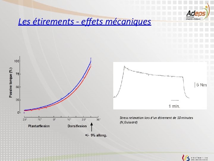 Les étirements - effets mécaniques Stress relaxation lors d’un étirement de 10 minutes (N,