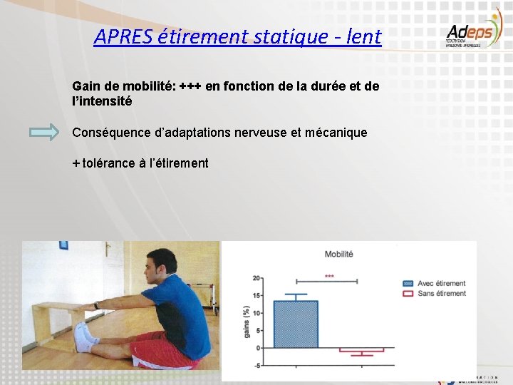 APRES étirement statique - lent Gain de mobilité: +++ en fonction de la durée