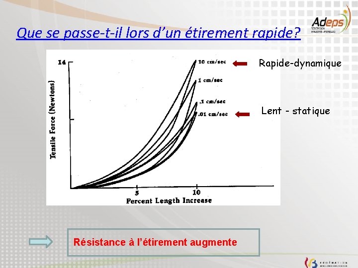 Que se passe-t-il lors d’un étirement rapide? Rapide-dynamique Lent - statique Résistance à l’étirement