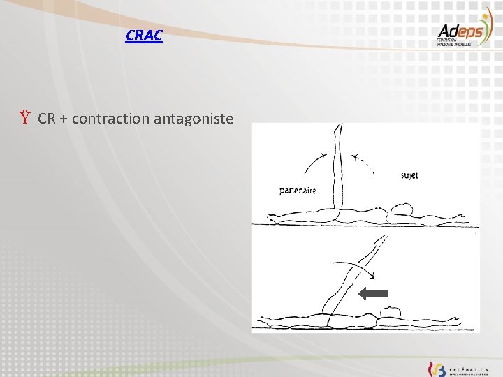 CRAC Ÿ CR + contraction antagoniste 