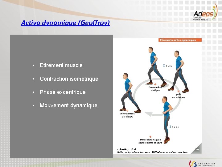 Activo dynamique (Geoffroy) • Etirement muscle • Contraction isométrique • Phase excentrique • Mouvement