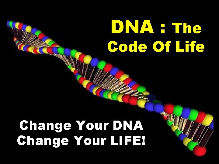 DNA : The Code Of Life Change Your DNA Change Your LIFE! 