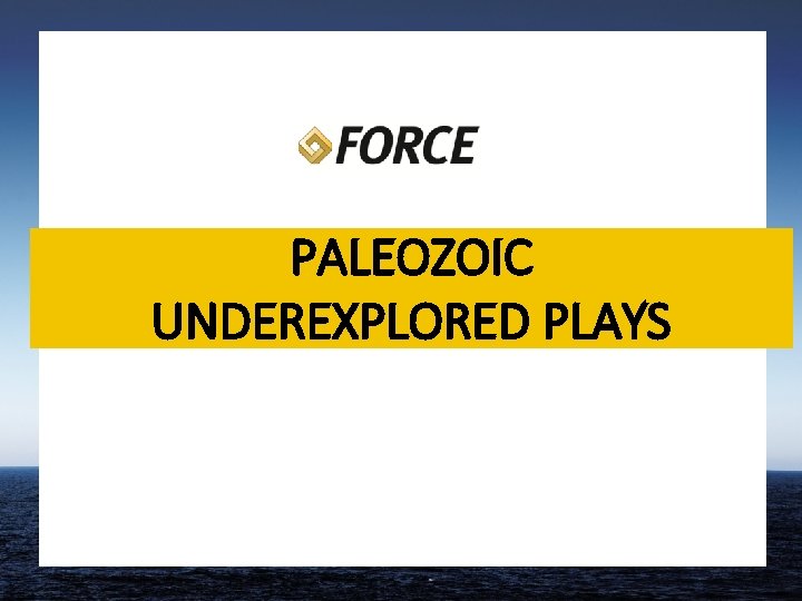 PALEOZOIC UNDEREXPLORED PLAYS 