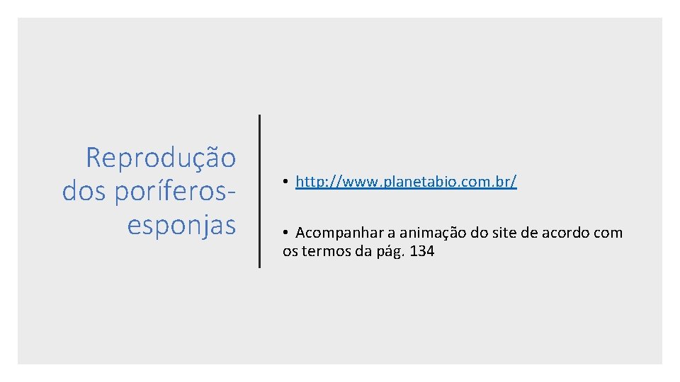 Reprodução dos poríferosesponjas • http: //www. planetabio. com. br/ • Acompanhar a animação do