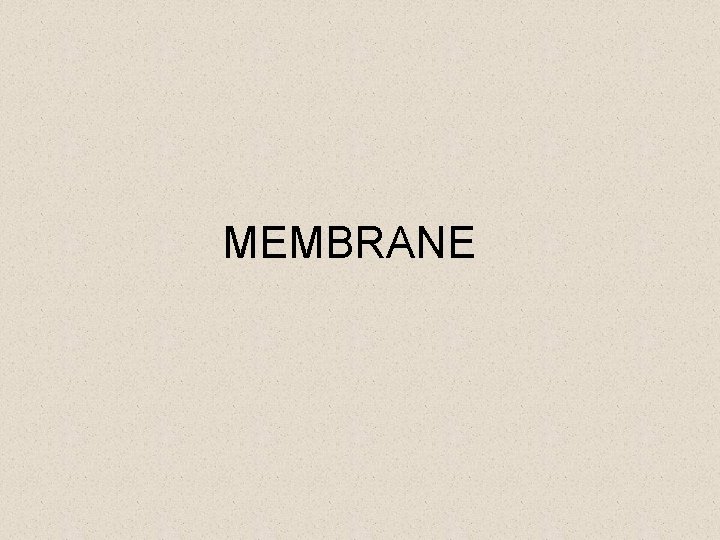 MEMBRANE 