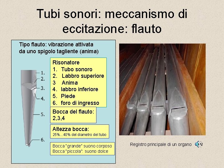 Tubi sonori: meccanismo di eccitazione: flauto Tipo flauto: vibrazione attivata da uno spigolo tagliente