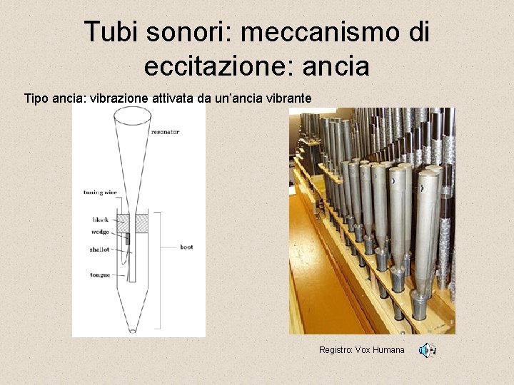 Tubi sonori: meccanismo di eccitazione: ancia Tipo ancia: vibrazione attivata da un’ancia vibrante Registro: