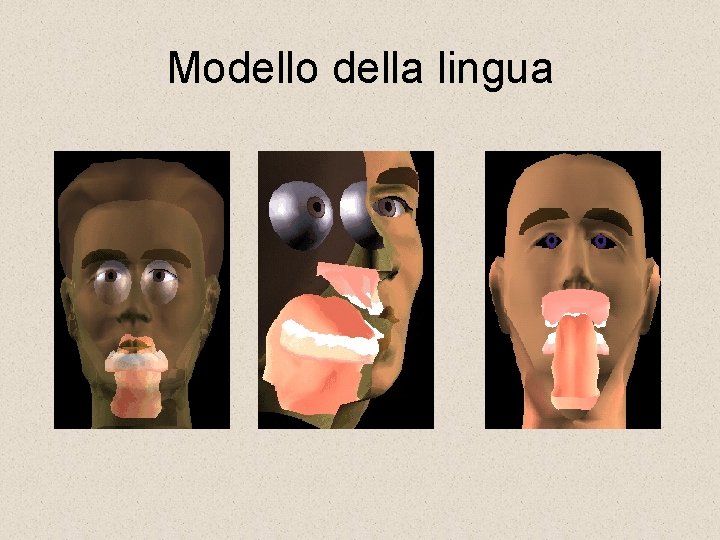 Modello della lingua 
