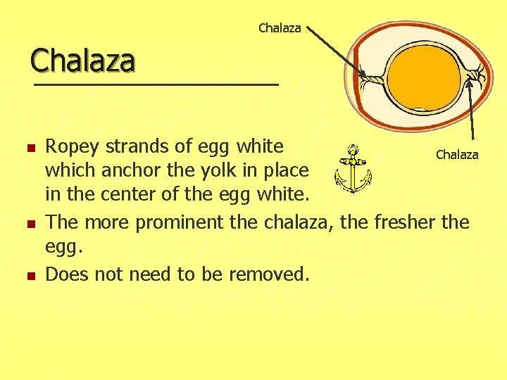 Chalaza n n n Ropey strands of egg white Chalaza which anchor the yolk