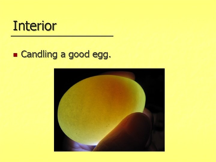 Interior n Candling a good egg. 