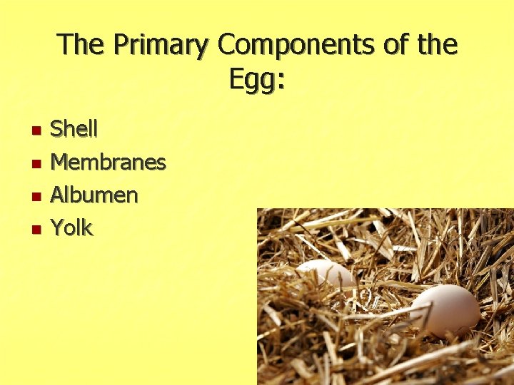 The Primary Components of the Egg: n n Shell Membranes Albumen Yolk 