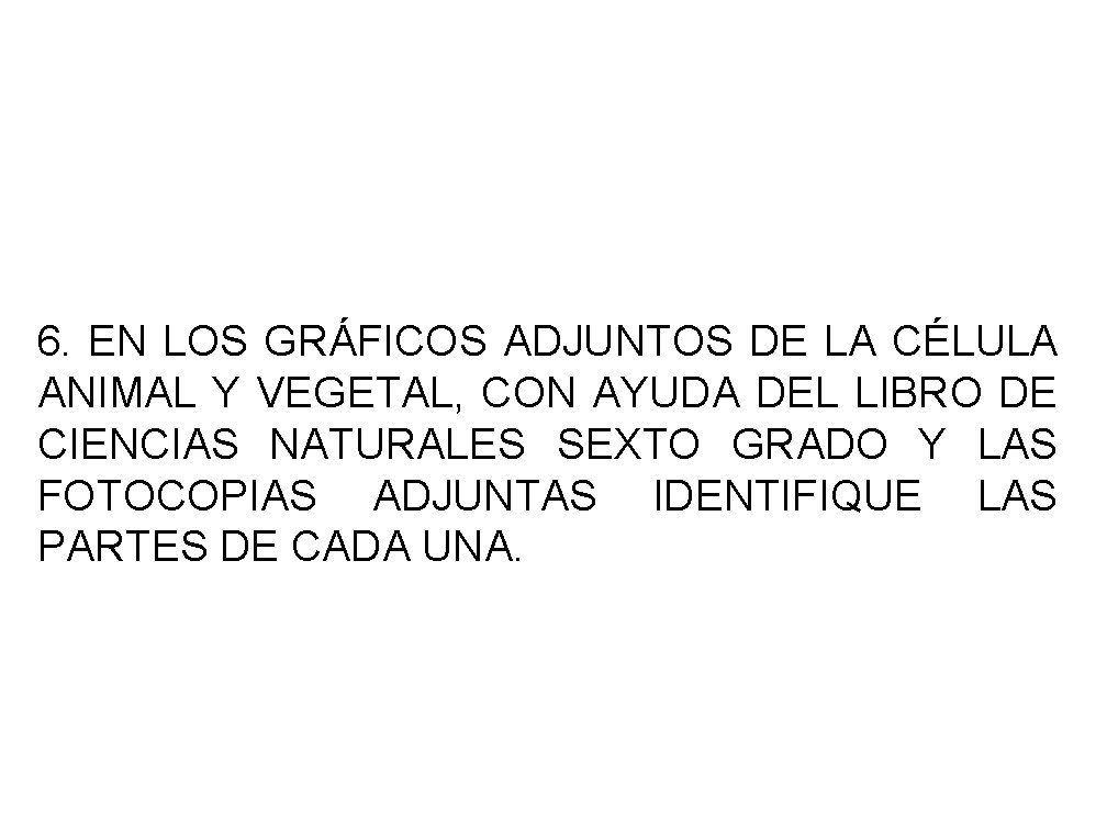 6. EN LOS GRÁFICOS ADJUNTOS DE LA CÉLULA ANIMAL Y VEGETAL, CON AYUDA DEL