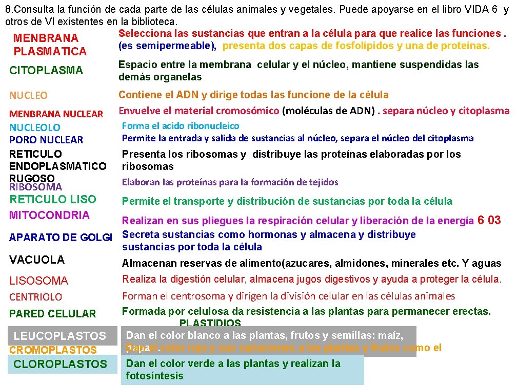 8. Consulta la función de cada parte de las células animales y vegetales. Puede