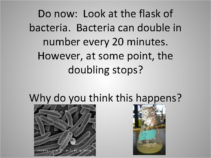 Do now: Look at the flask of bacteria. Bacteria can double in number every