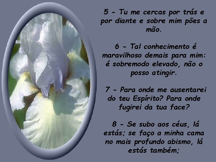 5 - Tu me cercas por trás e por diante e sobre mim pões 5 - Tu me cercas por trás e por diante e sobre mim pões