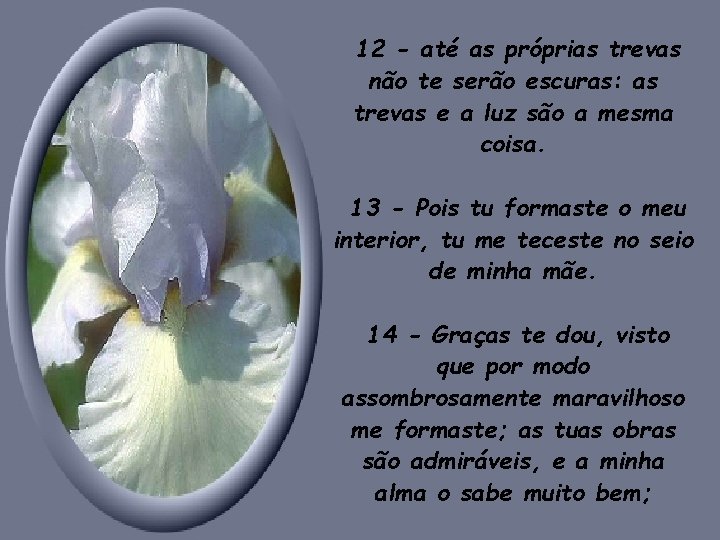 12 - até as próprias trevas não te serão escuras: as trevas e a 12 - até as próprias trevas não te serão escuras: as trevas e a