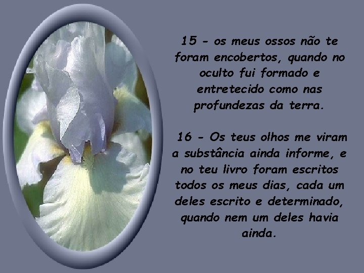 15 - os meus ossos não te foram encobertos, quando no oculto fui formado 15 - os meus ossos não te foram encobertos, quando no oculto fui formado