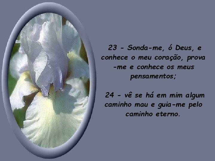 23 - Sonda-me, ó Deus, e conhece o meu coração, prova -me e conhece 23 - Sonda-me, ó Deus, e conhece o meu coração, prova -me e conhece