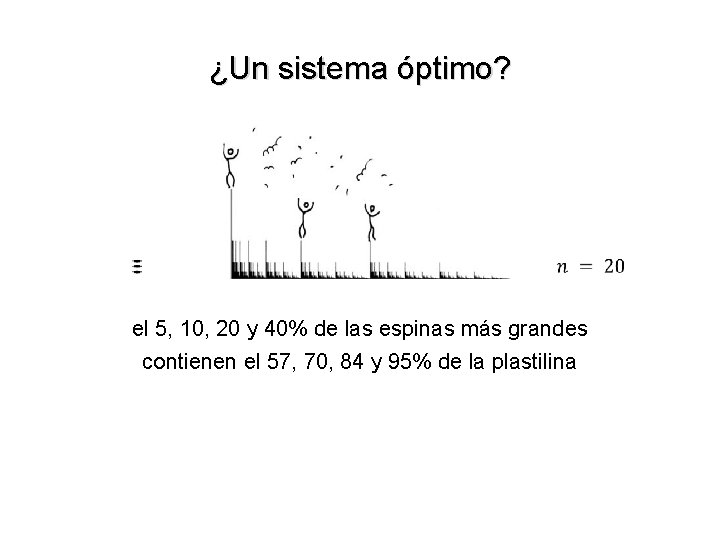 ¿Un sistema óptimo? el 5, 10, 20 y 40% de las espinas más grandes