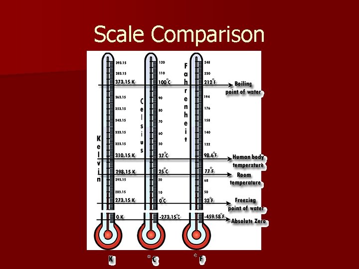 Scale Comparison 