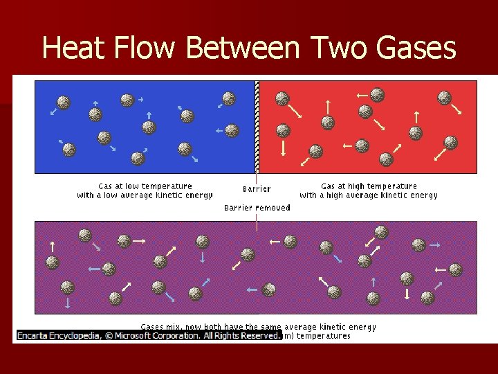 Heat Flow Between Two Gases 