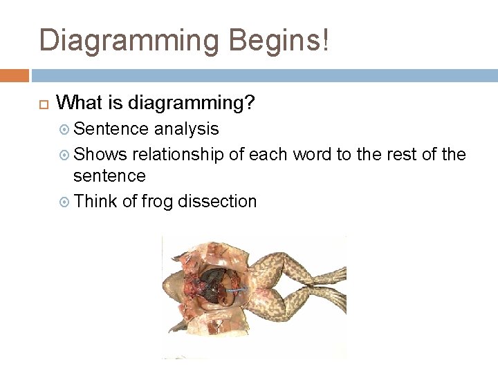 Diagramming Begins! What is diagramming? Sentence analysis Shows relationship of each word to the