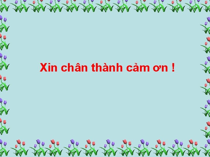 Xin chân thành cảm ơn ! 