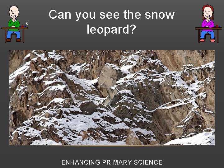  • a Can you see the snow leopard? ENHANCING PRIMARY SCIENCE 