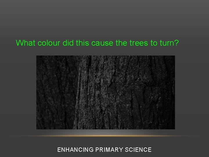 What colour did this cause the trees to turn? ENHANCING PRIMARY SCIENCE 