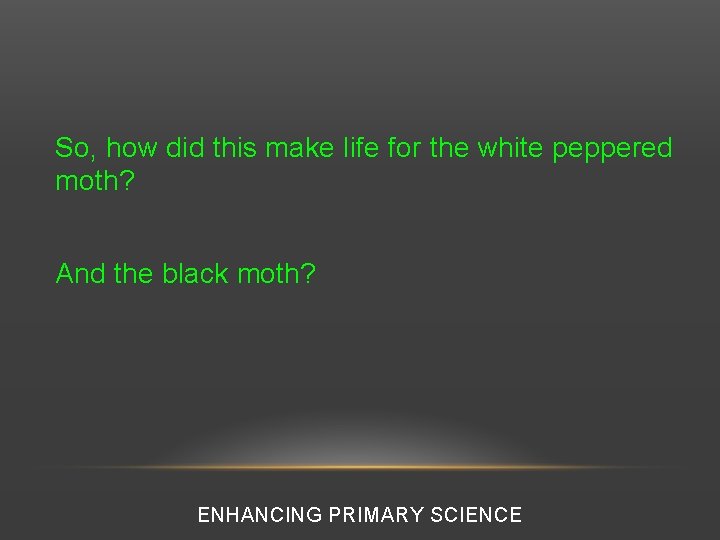 So, how did this make life for the white peppered moth? And the black