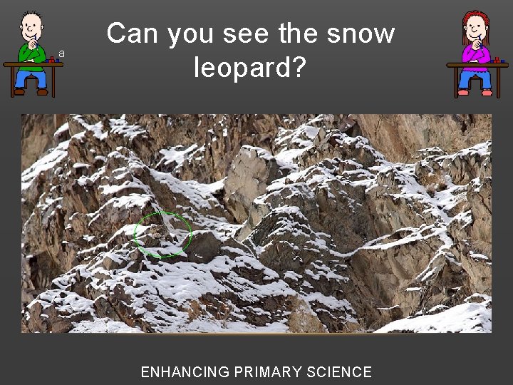  • a Can you see the snow leopard? ENHANCING PRIMARY SCIENCE 