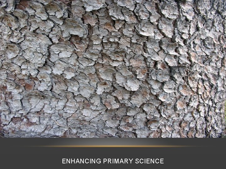 ENHANCING PRIMARY SCIENCE 