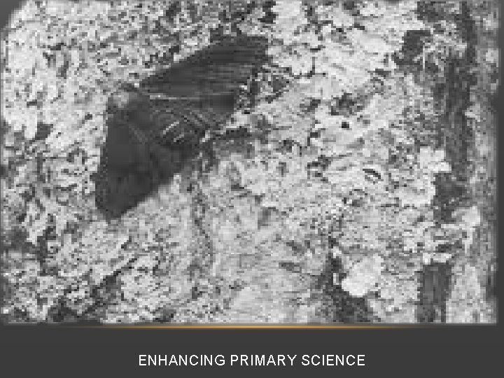 ENHANCING PRIMARY SCIENCE 