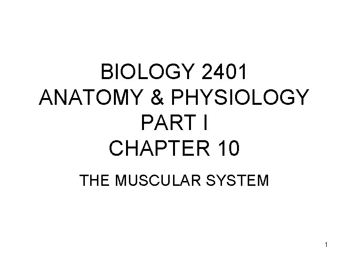 BIOLOGY 2401 ANATOMY & PHYSIOLOGY PART I CHAPTER 10 THE MUSCULAR SYSTEM 1 