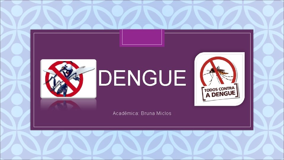 DENGUE C Acadêmica: Bruna Miclos 