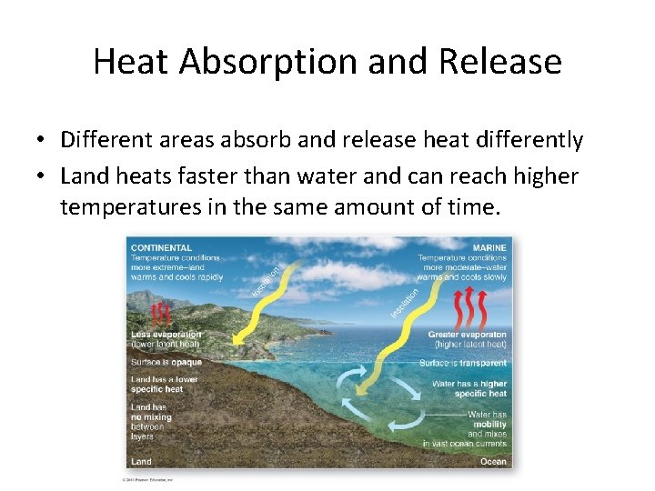 Heat Absorption and Release • Different areas absorb and release heat differently • Land Heat Absorption and Release • Different areas absorb and release heat differently • Land
