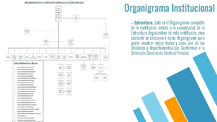 Organigrama Institucional » Estructura. Este es el Organigrama completo de la institución, debido a