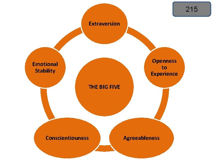 215 Extraversion Openness to Experience Emotional Stability THE BIG FIVE Conscientiouness Agreeableness 